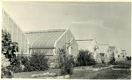 Greenhouses