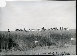 Agricultural Research - Experimental Plots