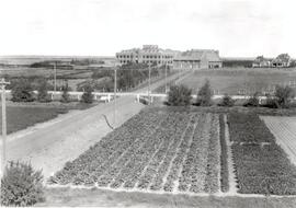 Agricultural Research - Experimental Plots