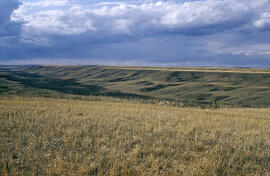 Terraces along the Arm River Channel near Aylesbury, Saskatchewan