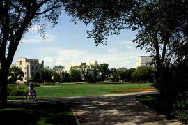 People walking around bowl, arts tower in background