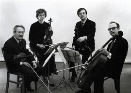 Amati Quartet - Musicians