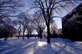 Winter view of campus