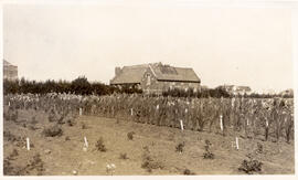 Agricultural Research - Experimental Plots