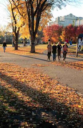 Students on Campus