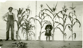 Exhibit of Corn