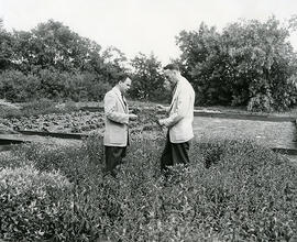 Agricultural Research - Experimental Plots