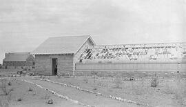 Greenhouses - Hail Damage