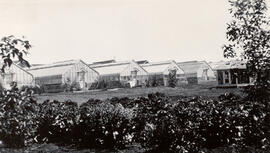 Greenhouses