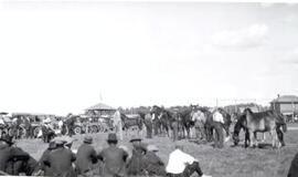 Horse Exhibition - Saltcoats, Saskatchewan