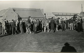 Agriculture - Class in Session