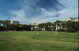 View of campus across the bowl