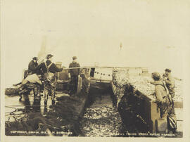 "Herring Fishing Prince Rupert Harbour"