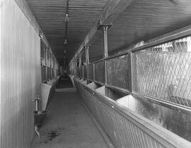 Main Barn - Interior