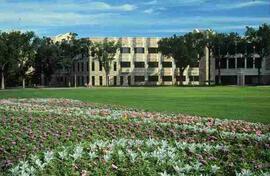 View of campus across the bowl