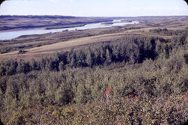 The North Saskatchewan River