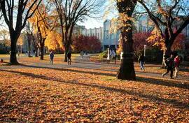 Students on Campus