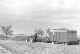 Agricultural Machinery - Forage Crop Harvester