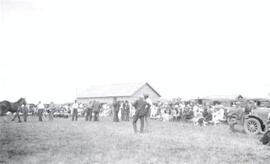 Field Day - Mossbank - Livestock Judging