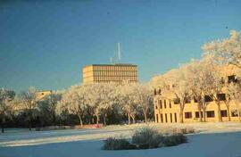 Winter view of bowl