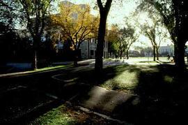 View of bowl including college building