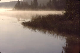 Mist on a lake