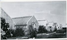 Greenhouses