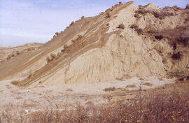 Ice-shove deformation in the Dirt Hills area of Saskatchewan