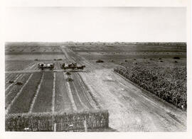 Agriculture - Harvesting