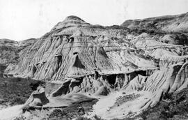 Badlands - Steveville, Alberta