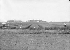 Agricultural Research - Experimental Plots