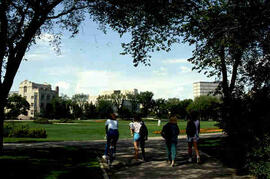 Students walking near bowl.