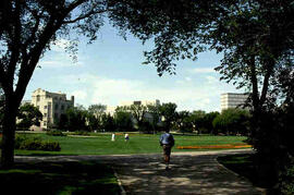 Students walking near bowl.