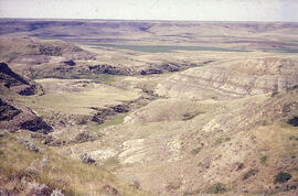 Clay facies of the Frenchman River over sand facies