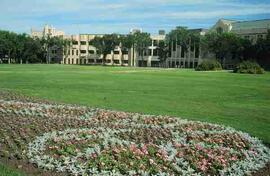 View of campus across the bowl