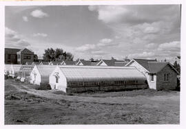 Greenhouses