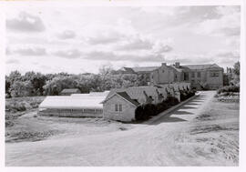 Greenhouses