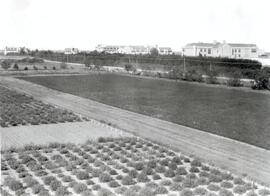 Agricultural Research - Experimental Plots